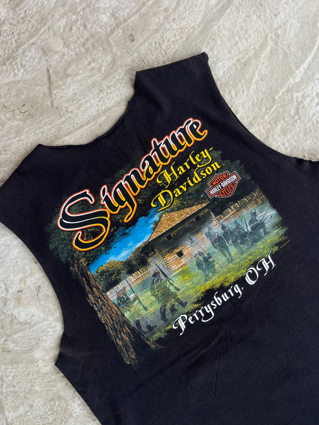 T-shirt Polo Harley Davidson - L